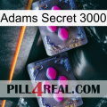 Adams Secret 3000 01